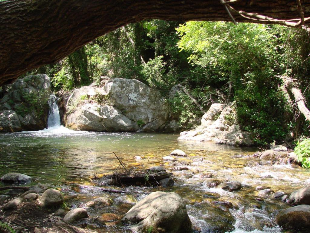 Agriturismo Torre Del Golfo Cropani Εξωτερικό φωτογραφία
