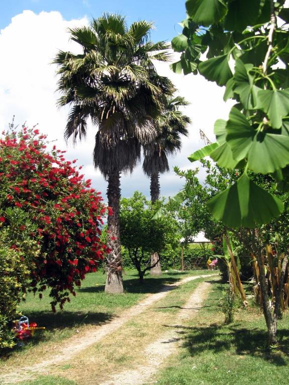Agriturismo Torre Del Golfo Cropani Εξωτερικό φωτογραφία